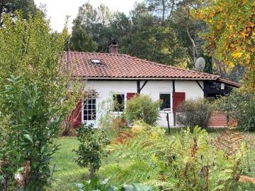 Holiday rental in house (with pool) 8 persons ST MICHEL ESCALUS (40)